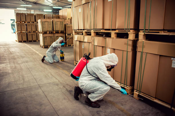 Best Cockroach Control Services  in Taylorsville, MS