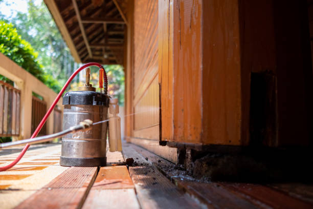 Wasp Removal Services in Taylorsville, MS