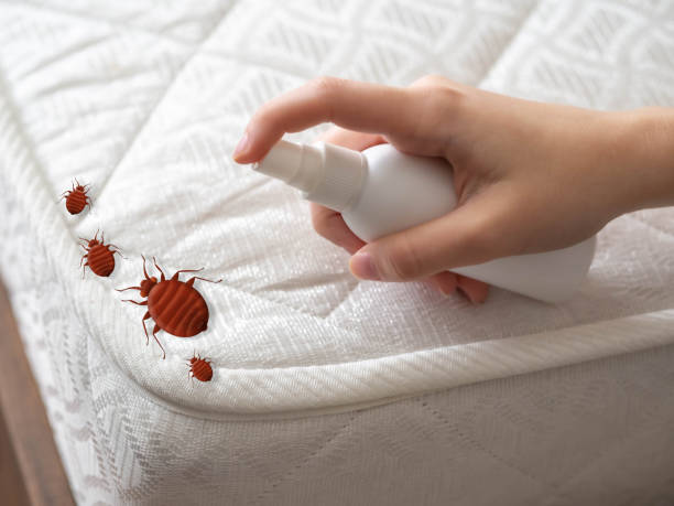 Best Pest Removal Services  in Taylorsville, MS